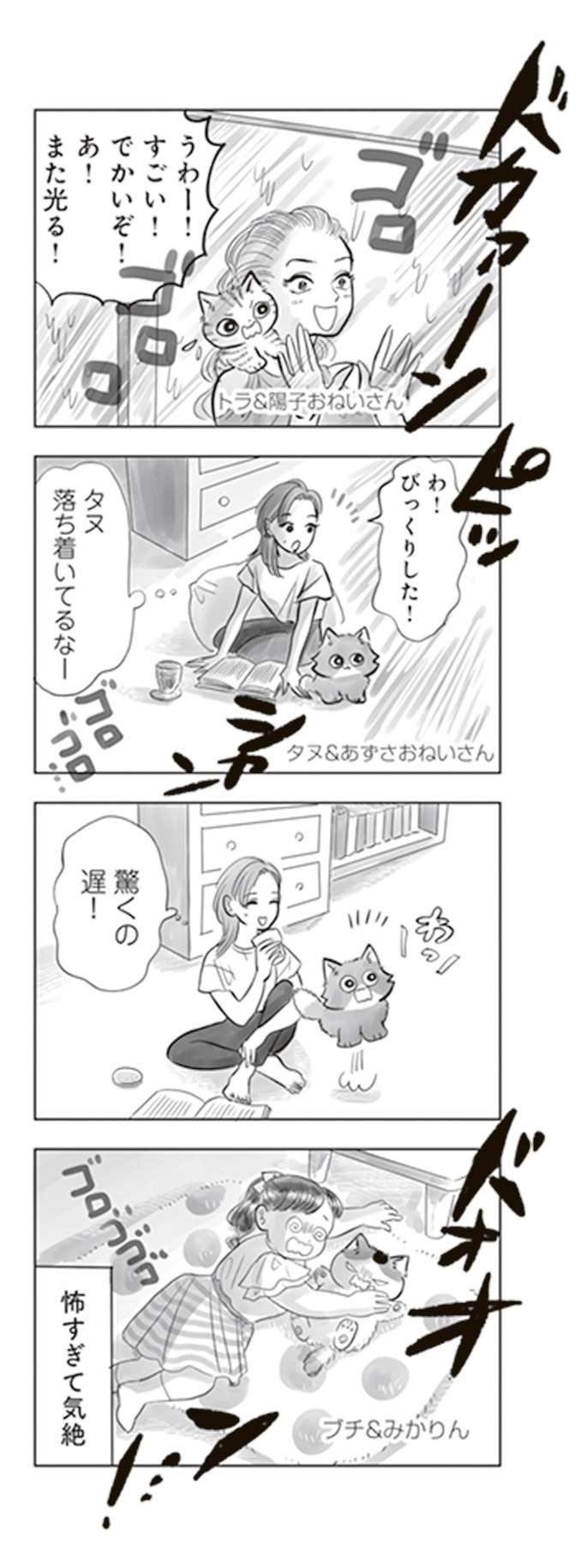 猫と雷。猫の性格によってリアクションは違うようで／トラと陽子 tora_yoko7-4.jpg