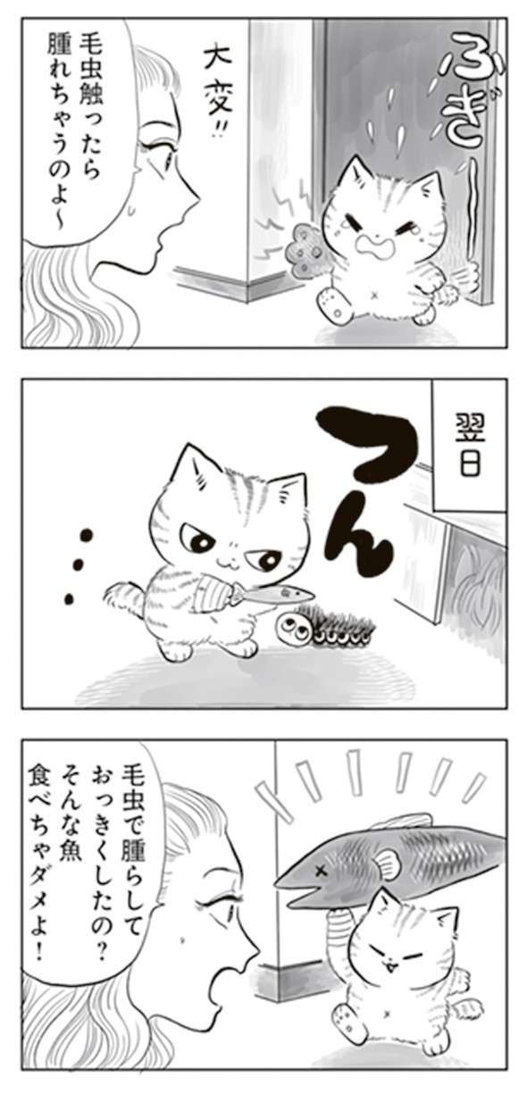 子猫は眠れない夜に何をしているのか。翌朝、飼い主の第一声は「...誰？」／トラと陽子 tora_yoko8-2.jpg