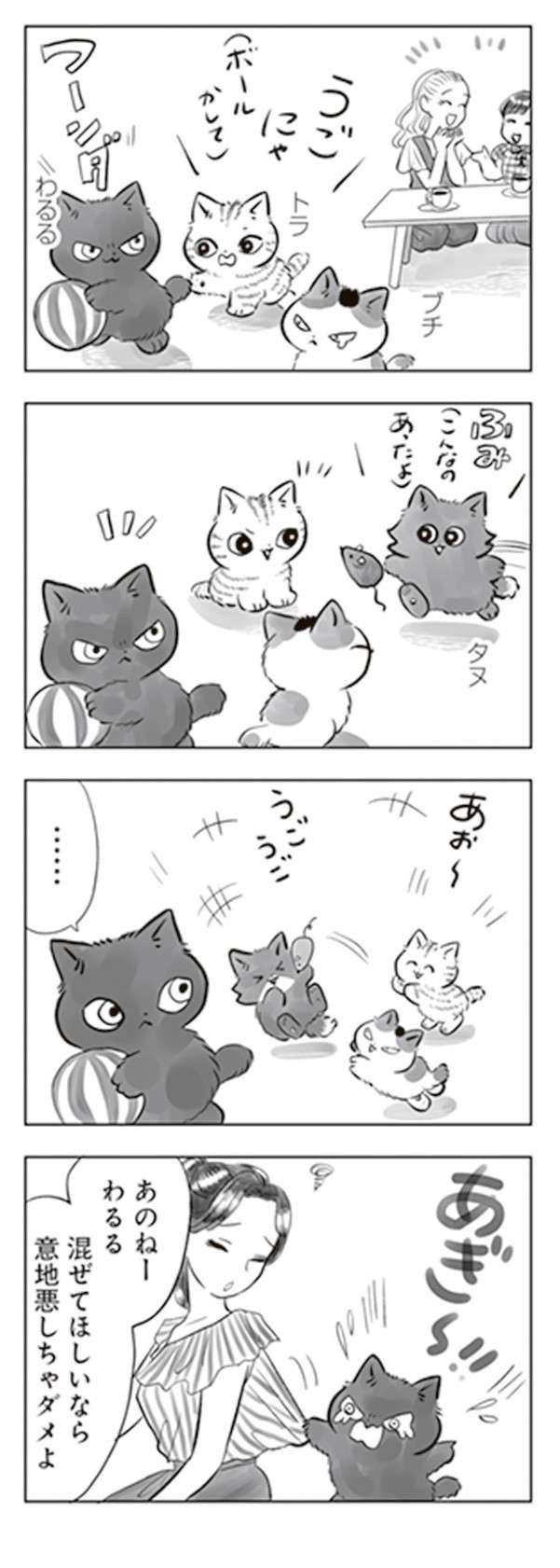 軒下で生まれ保護された子猫。里親が見つかったがなかなかやんちゃで...／トラと陽子 tora_yoko9-5.jpg
