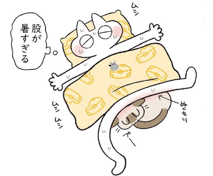 嬉しいけど限界...！ 寒がりな猫は、熱帯夜でも足に挟まってきて／とっても!!!! シャム猫あずきさん