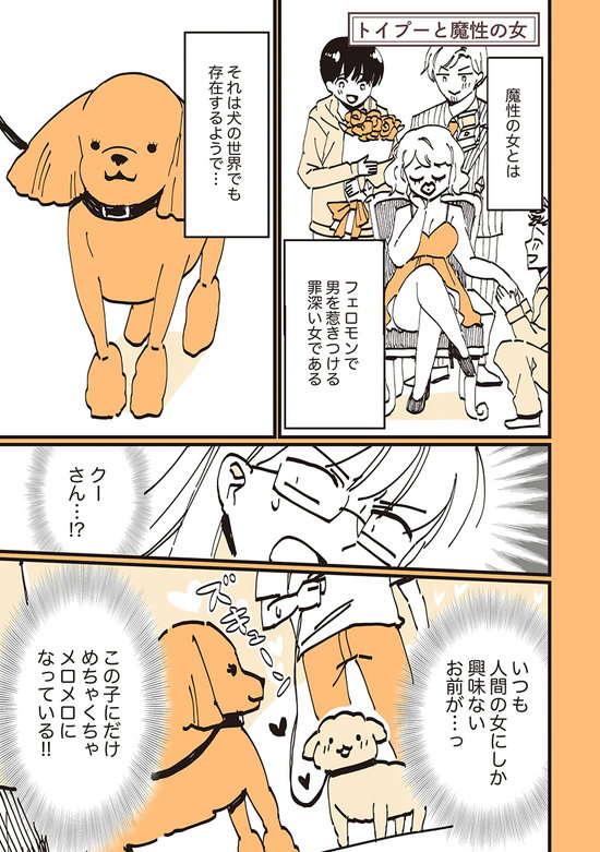 魔性の女ならぬ 魔性の犬 誰もを魅了するトイプー モカちゃん うちのトイプーがアイドルすぎる 毎日が発見ネット