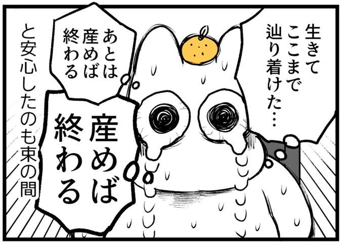 「あとは産めば終わる」安心した妊婦だが、陣痛室が...えええ／つわりが怖くて2人目に踏み切れない話