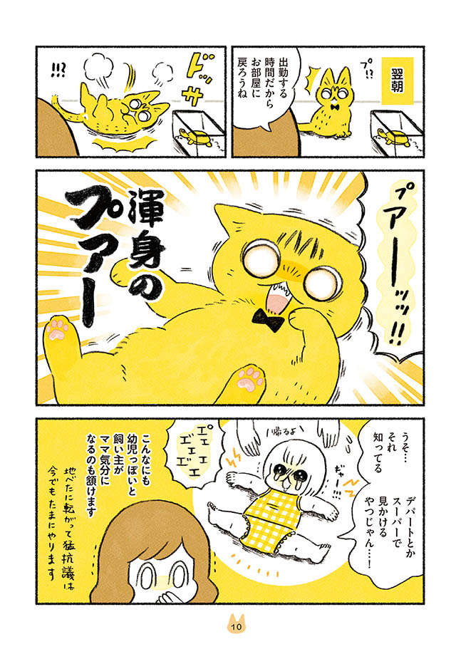 愛猫を「赤ちゃん扱い」してしまう...その3大「バブポイント」／茶トラのやっちゃんとちーちゃん tyatora_p10.jpg