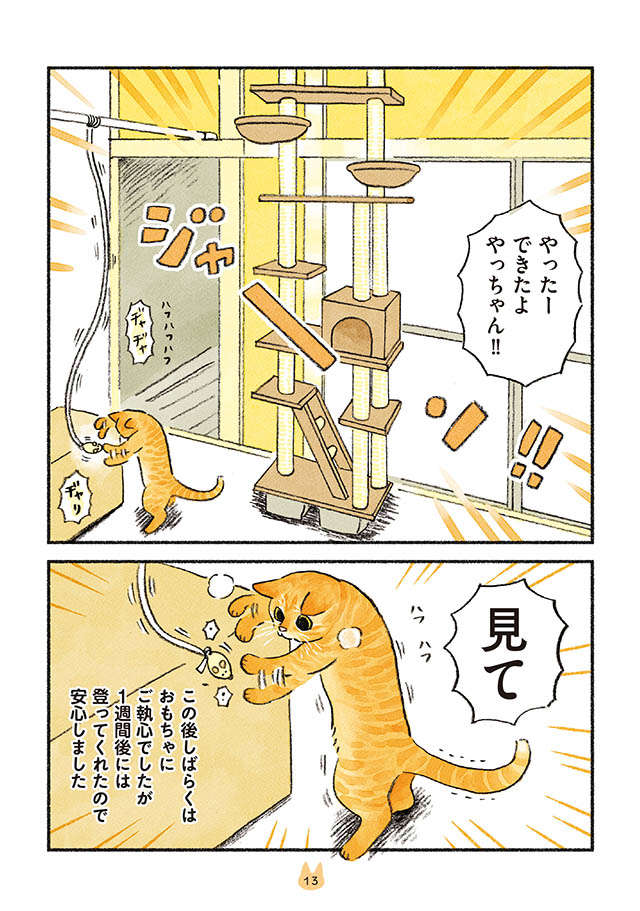 愛猫のキャットタワーが完成。ん...なにやってる？／茶トラのやっちゃんとちーちゃん tyatora_p13.jpg