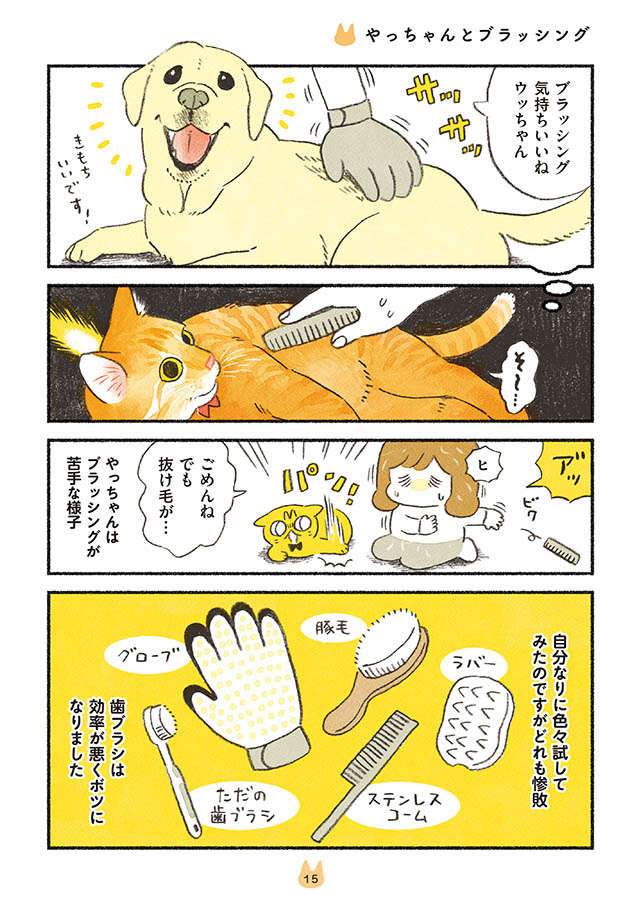 ブラッシング嫌いの愛猫。おすすめの高級ブラシを試してみたら...これは！／茶トラのやっちゃんとちーちゃん tyatora_p15.jpg