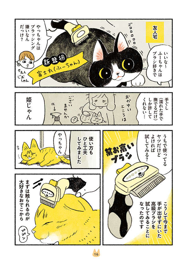 ブラッシング嫌いの愛猫。おすすめの高級ブラシを試してみたら...これは！／茶トラのやっちゃんとちーちゃん tyatora_p16.jpg