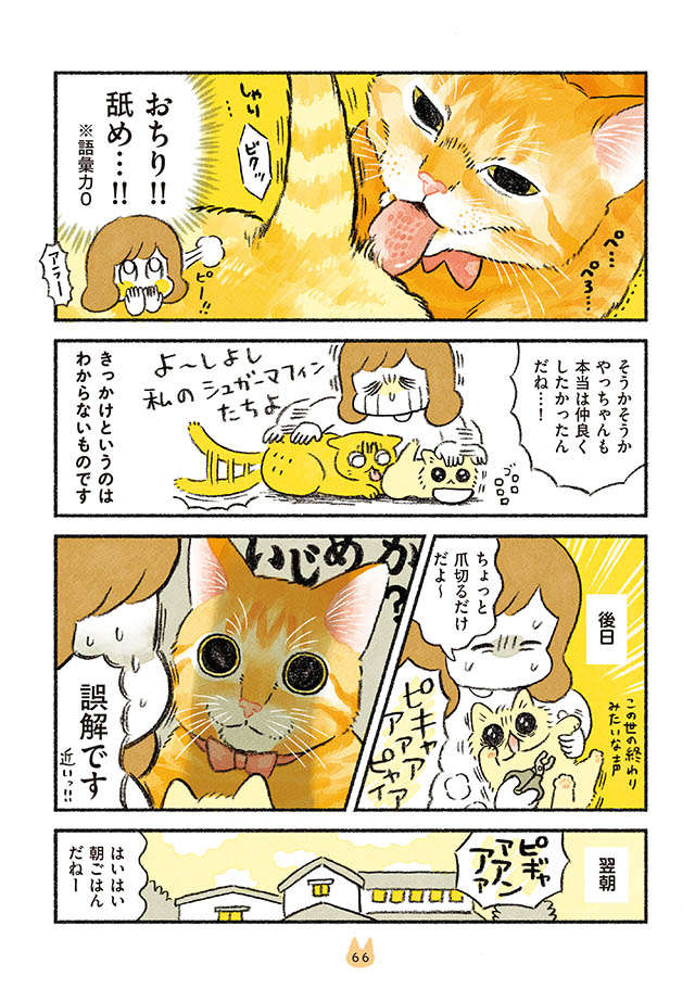 語彙力が溶ける光景...新入り子猫と先住猫が、ついに仲良く...！／茶トラのやっちゃんとちーちゃん tyatora_p66.jpg