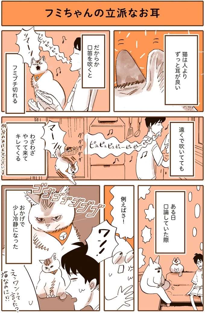 『うちの猫は仲が悪い』 uchinoneko1_2.jpeg