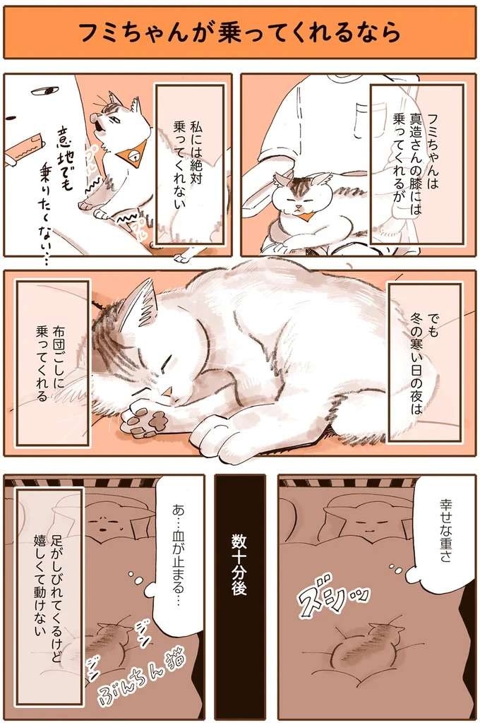 猫なのに「ワン！」...我が家のフミちゃんはコレが嫌い／うちの猫は仲が悪い uchinoneko1_3.jpeg