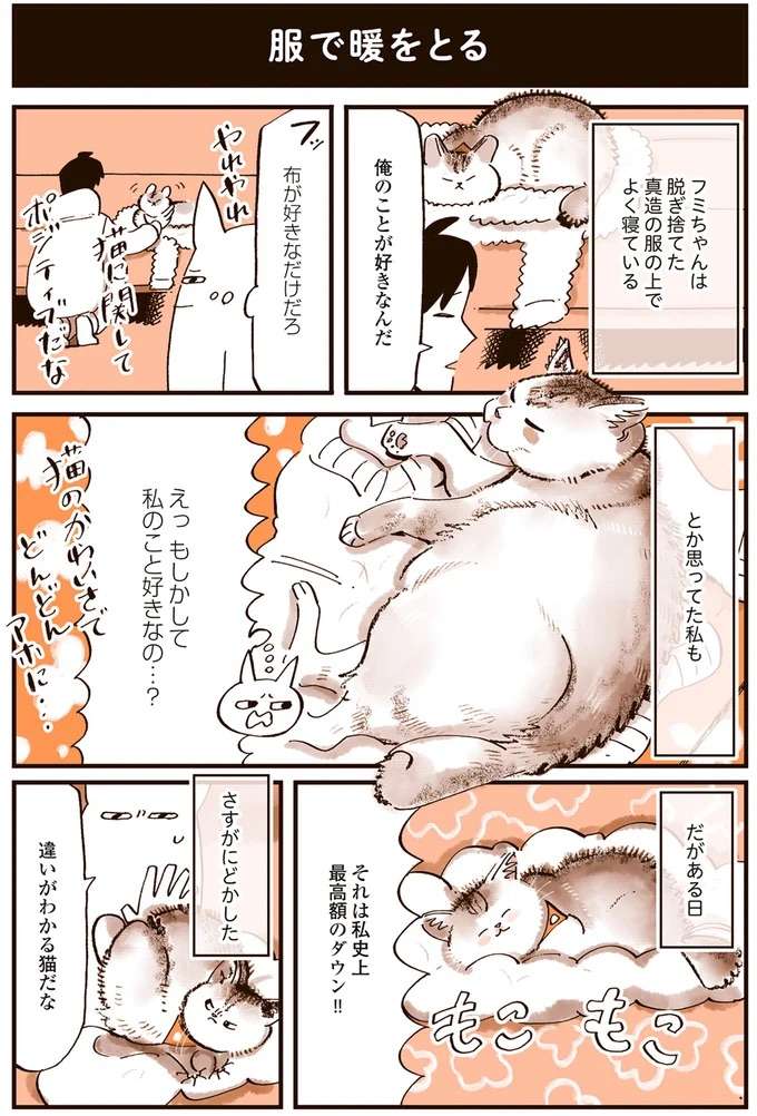 猫なのに「ワン！」...我が家のフミちゃんはコレが嫌い／うちの猫は仲が悪い uchinoneko1_4.jpeg