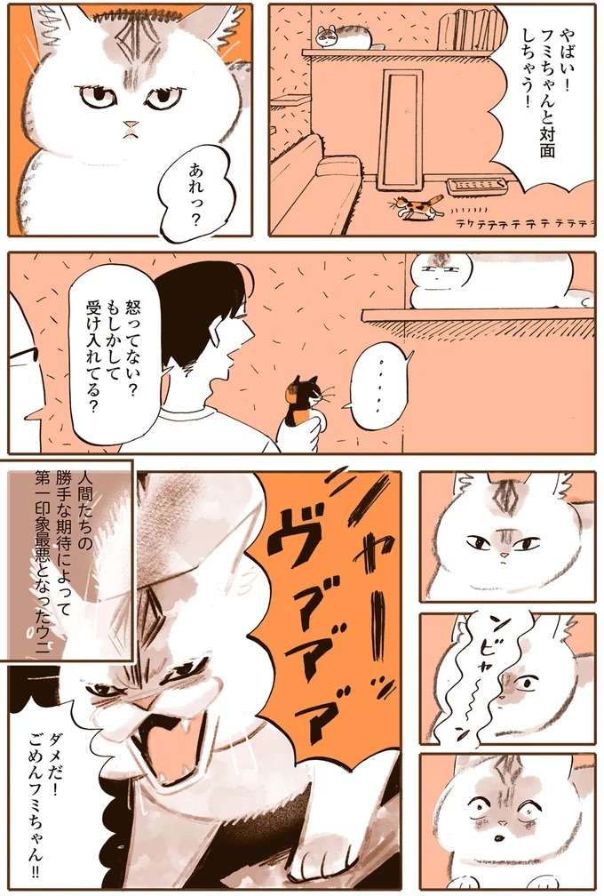 『うちの猫は仲が悪い』 uchinoneko2_4.jpeg