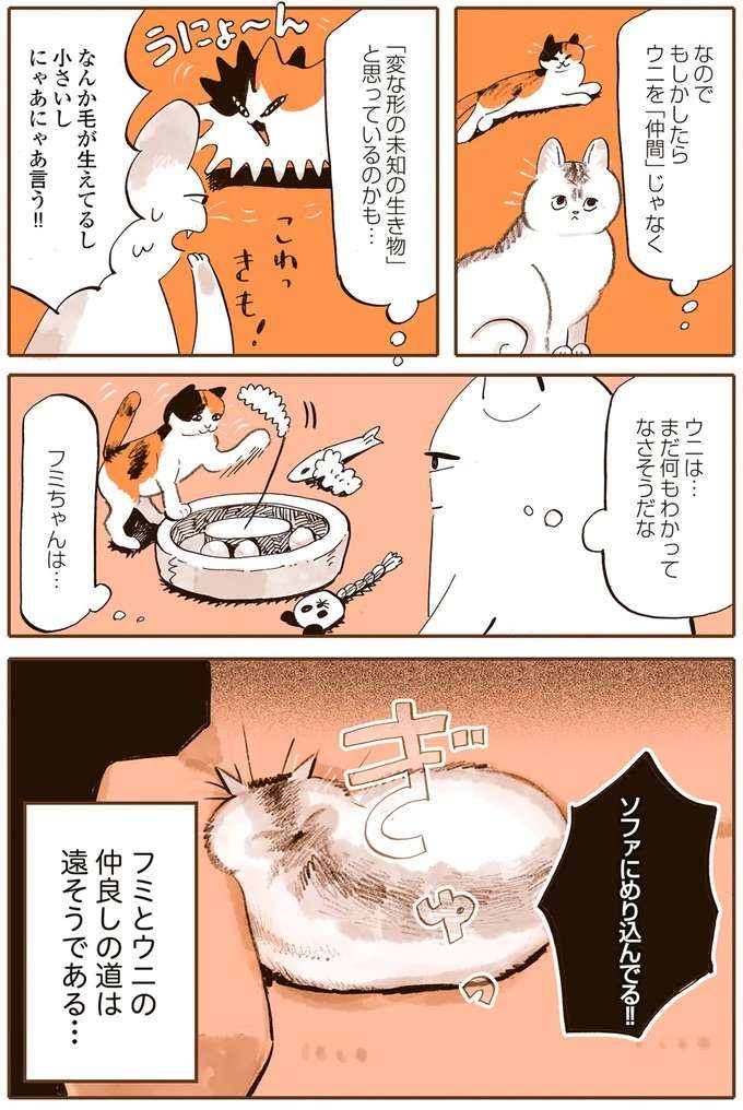 『うちの猫は仲が悪い』 uchinoneko2_6.jpeg