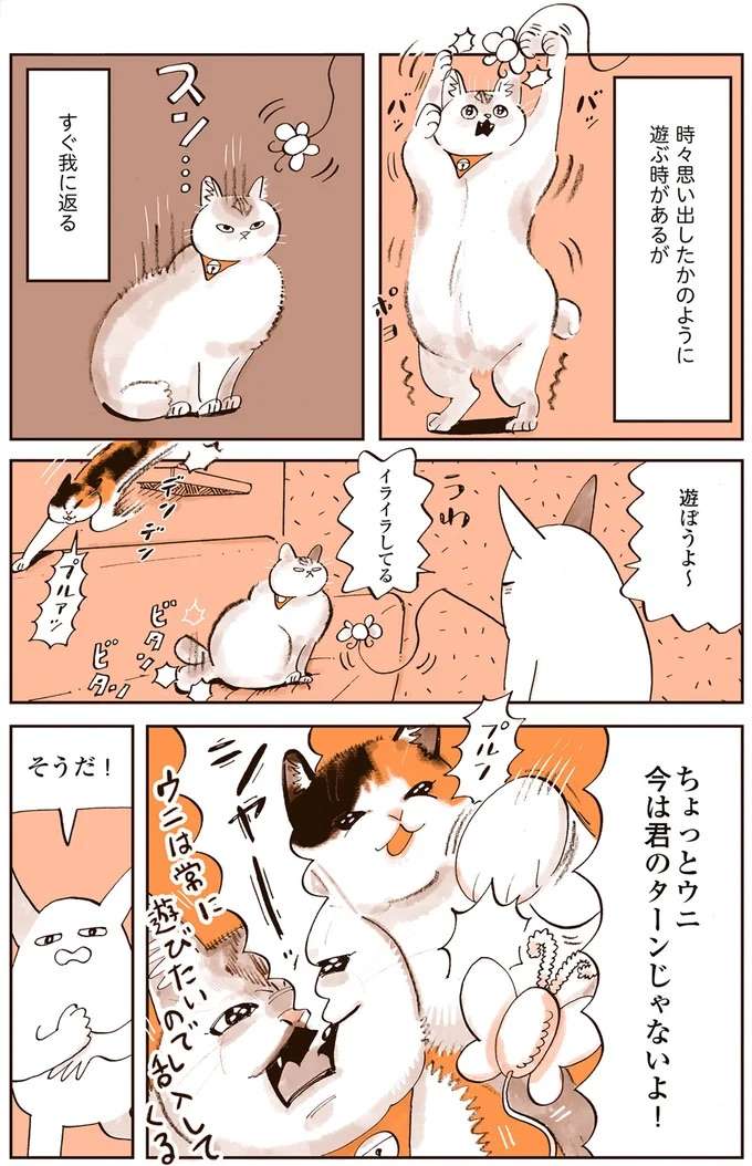 『うちの猫は仲が悪い』 uchinoneko4_4.jpeg