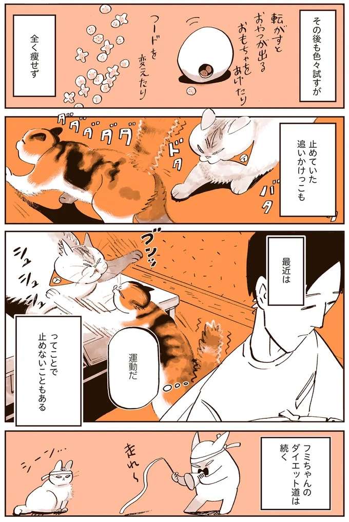 『うちの猫は仲が悪い』 uchinoneko4_6.jpeg