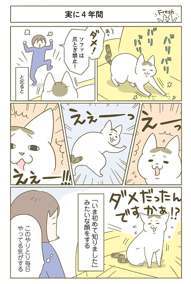 猫が毎回「初めて聞いた！」みたいな顔...飼い主が「注意」したことは？／うちの猫がまた変なことしてる。4 uchinoneko4_p13.jpg