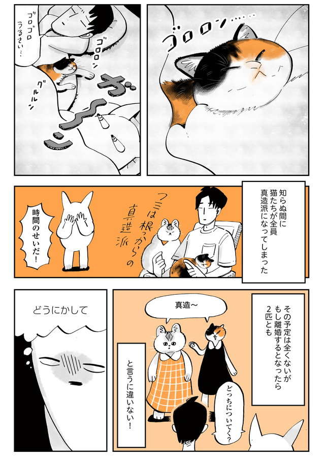 「愛してくれ～」別居婚だけど夫の家の猫に好かれたい！ 思いついたアピール作戦／うちの猫は仲が悪い uchinoneko6-003.jpg