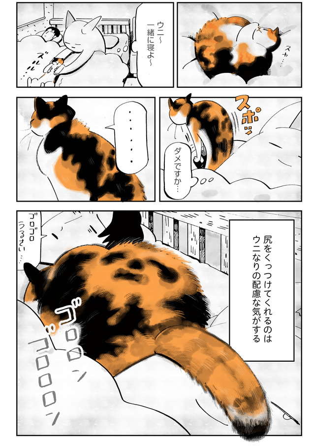 「愛してくれ～」別居婚だけど夫の家の猫に好かれたい！ 思いついたアピール作戦／うちの猫は仲が悪い uchinoneko6-006.jpg
