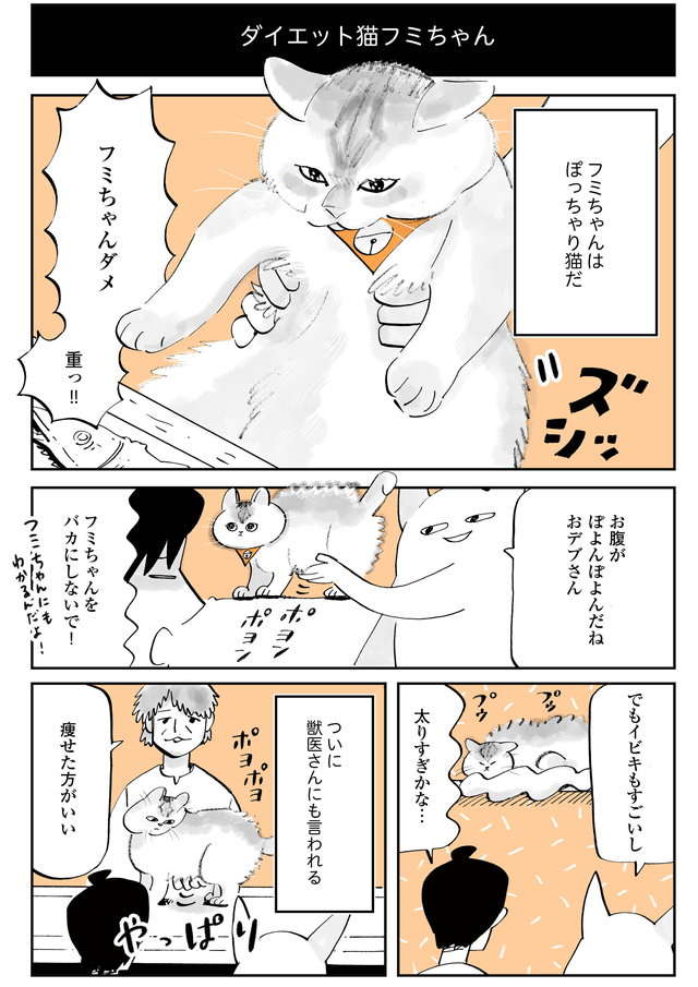 ぽっちゃり猫をダイエットさせたい！ ちゅーるで釣って走らせようとした結果 ／うちの猫は仲が悪い uchinoneko7-001.jpg