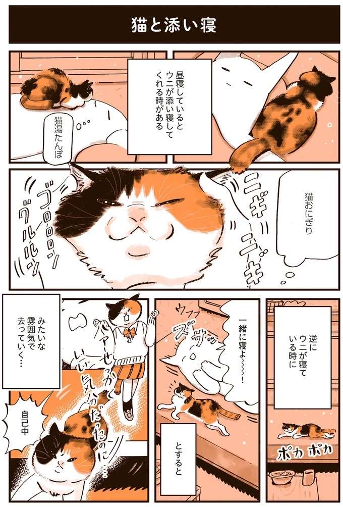 猫との添い寝は難しい。自分からはいいけど...／うちの猫は仲が悪い uchinoneko8_1.jpeg