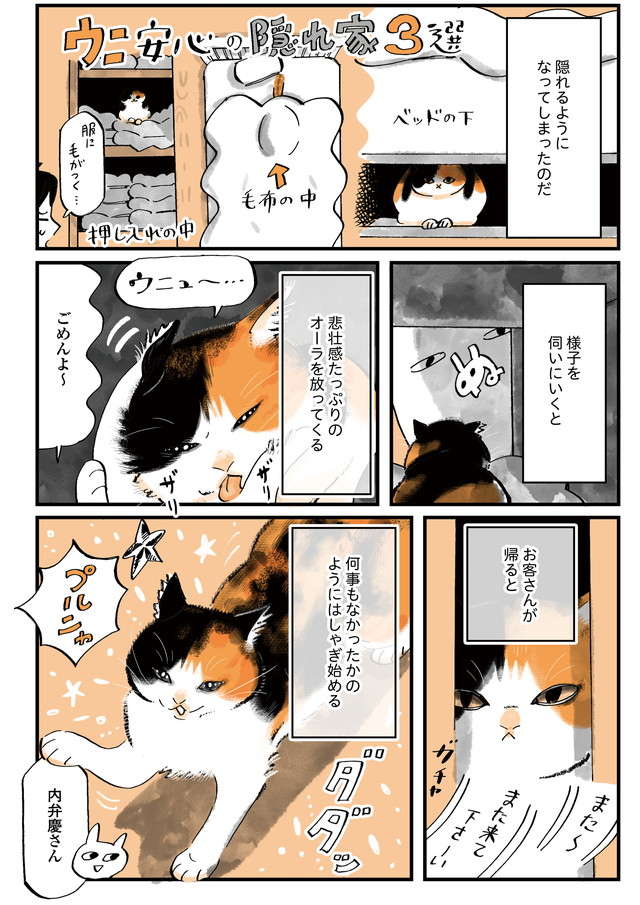 猫飼いの「特権」。愛猫が飼い主にだけ見せる可愛い一面にも個性が／うちの猫は仲が悪い uchinoneko_10-02.jpg