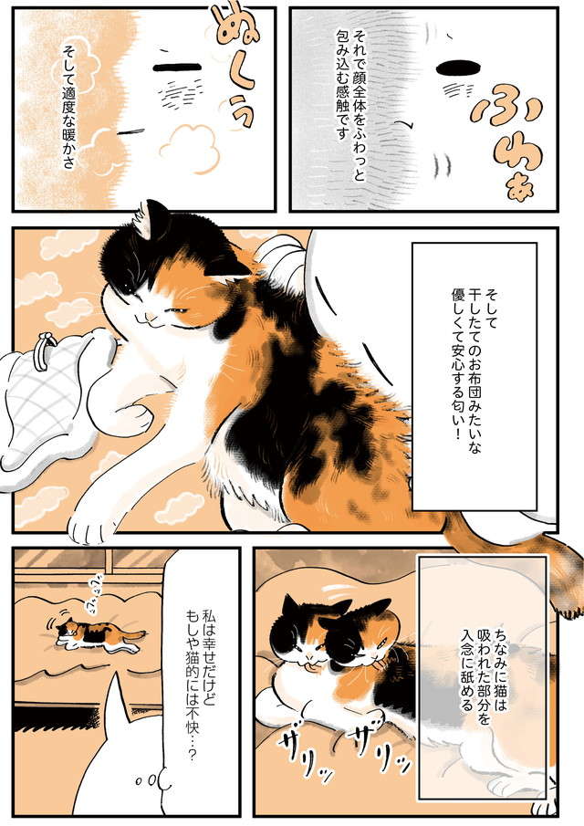 愛猫は新品のおもちゃが好き。3000円のおもちゃを買った結果は...／うちの猫は仲が悪い uchinoneko_11-05.jpg