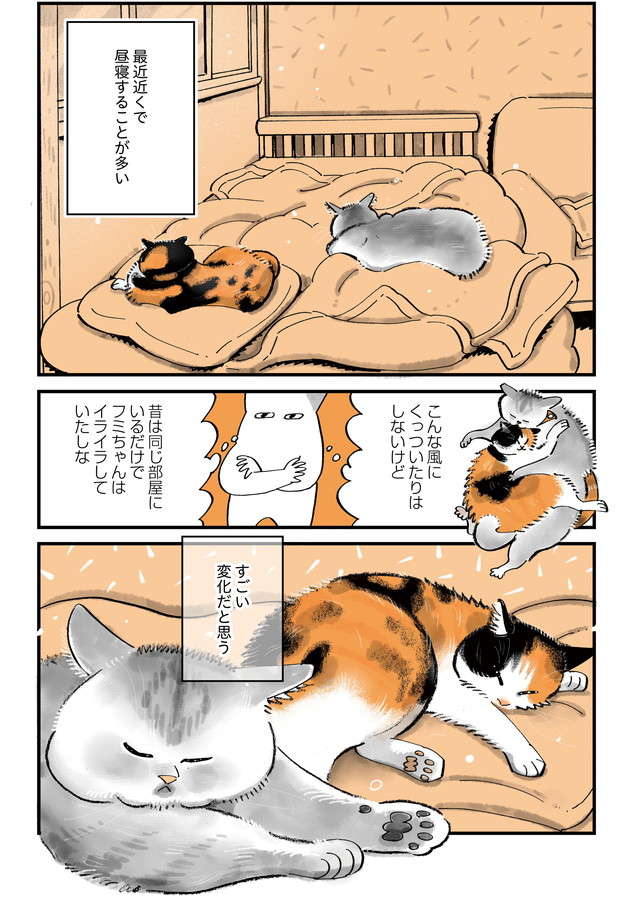 不仲な愛猫2匹のすごい変化。あれだけピリピリしていたのに「なんという奇跡！」／うちの猫は仲が悪い uchinoneko_12-5.jpg