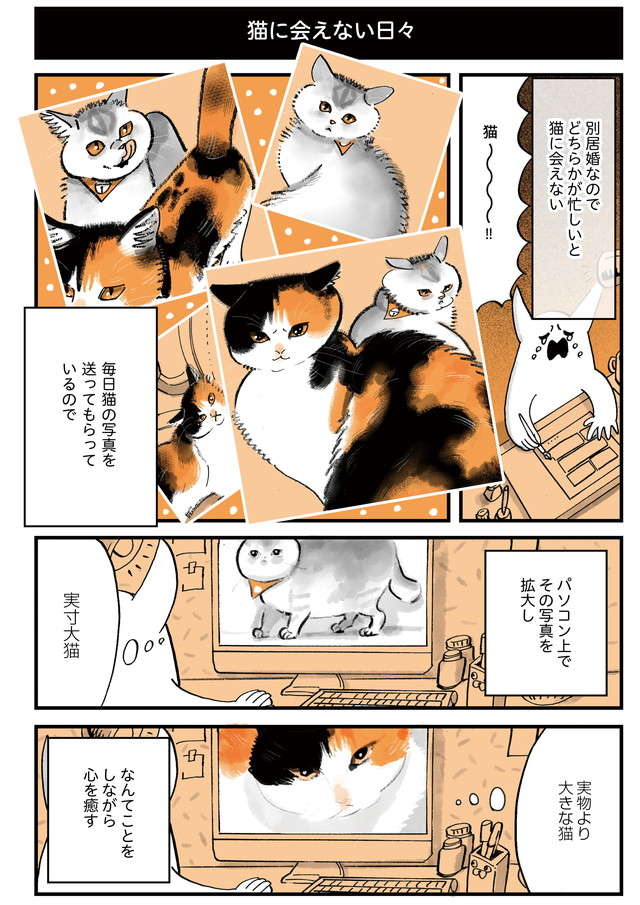 「猫に会えない日々」会いたすぎて落書きをした結果、自室が「ヤバい部屋」に!? ／うちの猫は仲が悪い uchinoneko_13-01.jpg