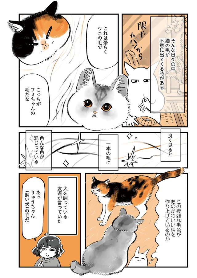 「猫に会えない日々」会いたすぎて落書きをした結果、自室が「ヤバい部屋」に!? ／うちの猫は仲が悪い uchinoneko_13-02.jpg