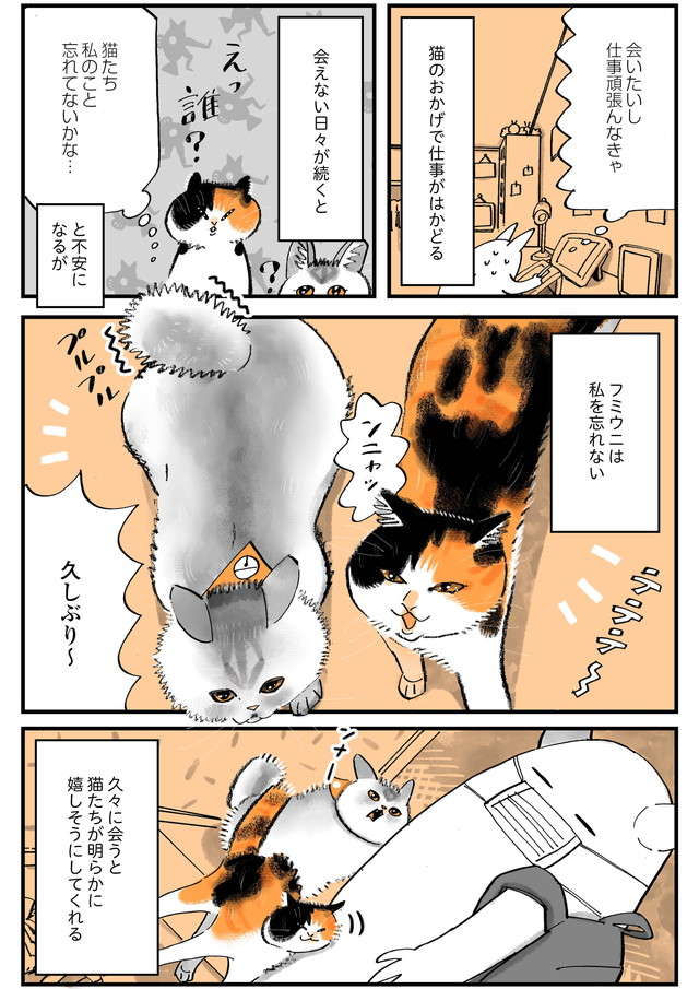 「猫に会えない日々」会いたすぎて落書きをした結果、自室が「ヤバい部屋」に!? ／うちの猫は仲が悪い uchinoneko_13-05.jpg
