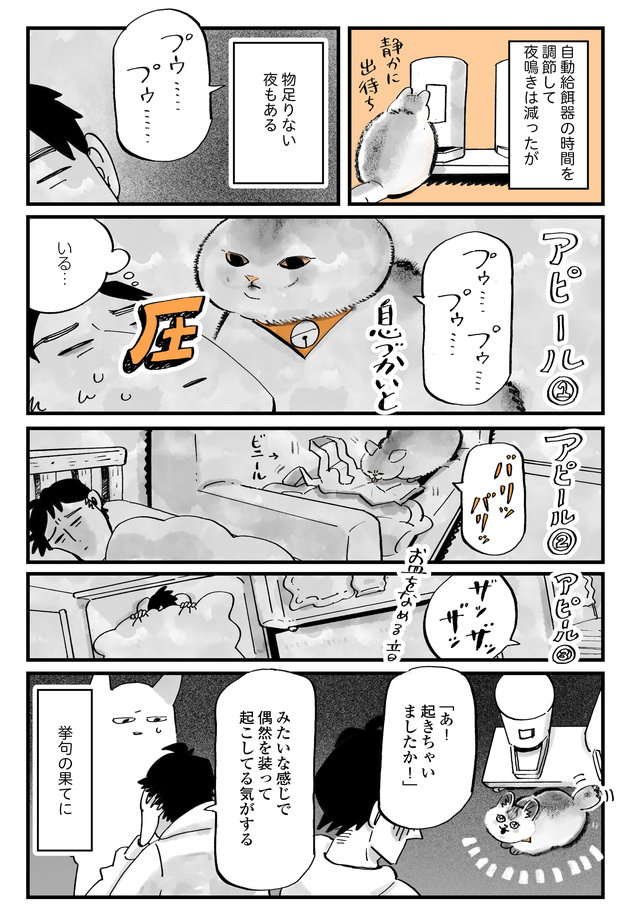 夜、起こしにくる猫。起きろアピールする猫の「豊かな表情」に飼い主は／うちの猫は仲が悪い uchinoneko_8-4.jpg