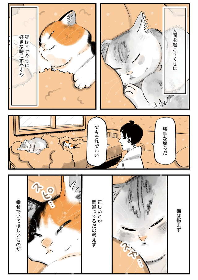 夜、起こしにくる猫。起きろアピールする猫の「豊かな表情」に飼い主は／うちの猫は仲が悪い uchinoneko_8-6.jpg