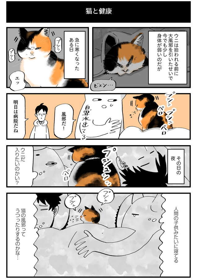 限りある「猫との時間」。猫を病院に連れていき、しみじみ思ったこと／うちの猫は仲が悪い uchinoneko_9-1.jpg