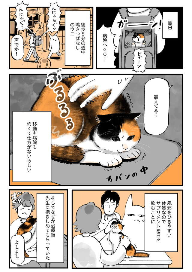 限りある「猫との時間」。猫を病院に連れていき、しみじみ思ったこと／うちの猫は仲が悪い uchinoneko_9-2.jpg