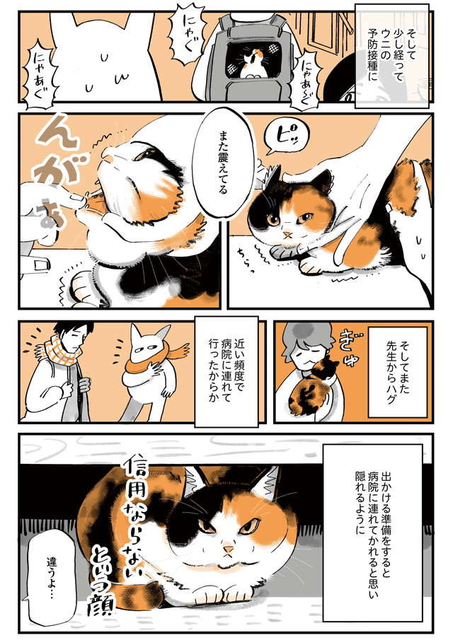 限りある「猫との時間」。猫を病院に連れていき、しみじみ思ったこと／うちの猫は仲が悪い uchinoneko_9-3.jpg