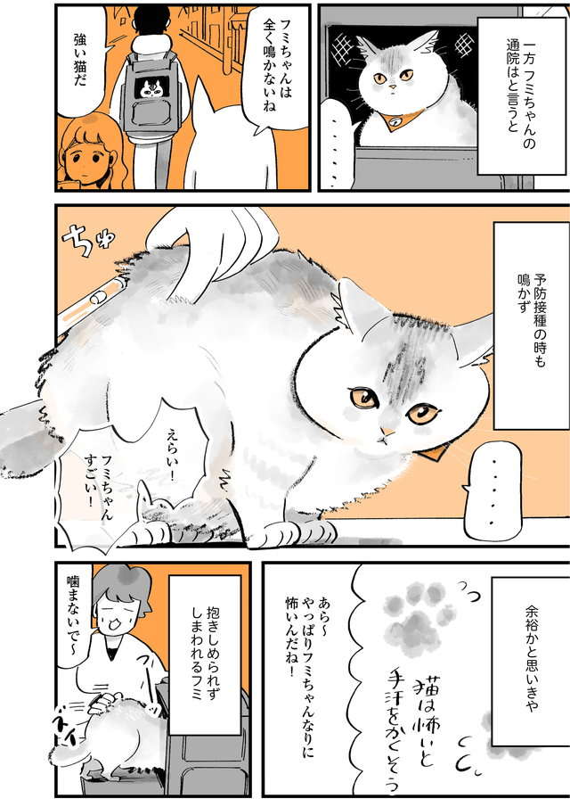 限りある「猫との時間」。猫を病院に連れていき、しみじみ思ったこと／うちの猫は仲が悪い uchinoneko_9-4.jpg