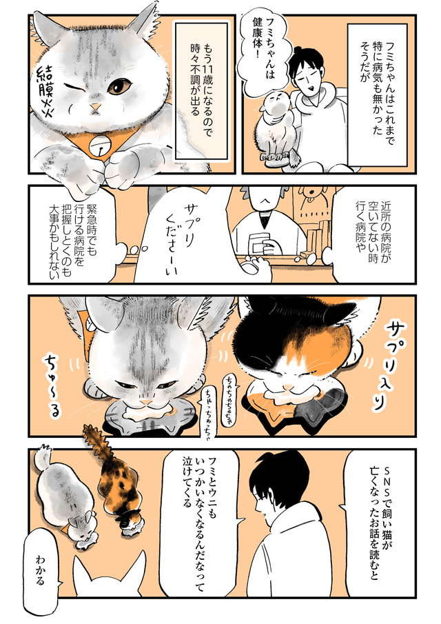 限りある「猫との時間」。猫を病院に連れていき、しみじみ思ったこと／うちの猫は仲が悪い uchinoneko_9-5.jpg