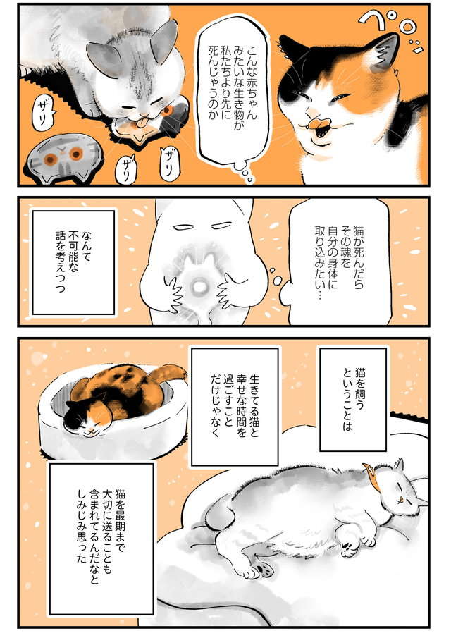 限りある「猫との時間」。猫を病院に連れていき、しみじみ思ったこと／うちの猫は仲が悪い uchinoneko_9-6.jpg