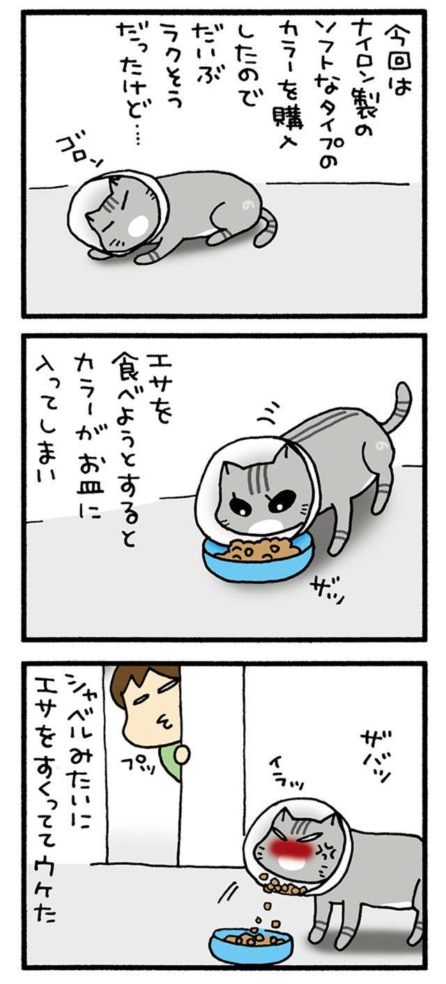 猫と小学生娘のかわいすぎる日常。寝る場所のかわりに差し出したのは／うちの3ねこ uchinosanneko04_011_2.jpg