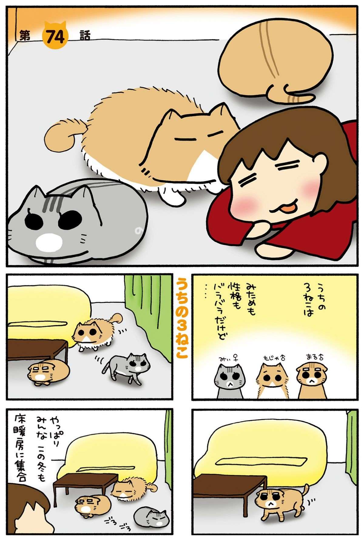 「いや、よくねえよ」猫のトイレの疑問、解消はされたものの...！／うちの3ねこ uchinosanneko04_015.jpg