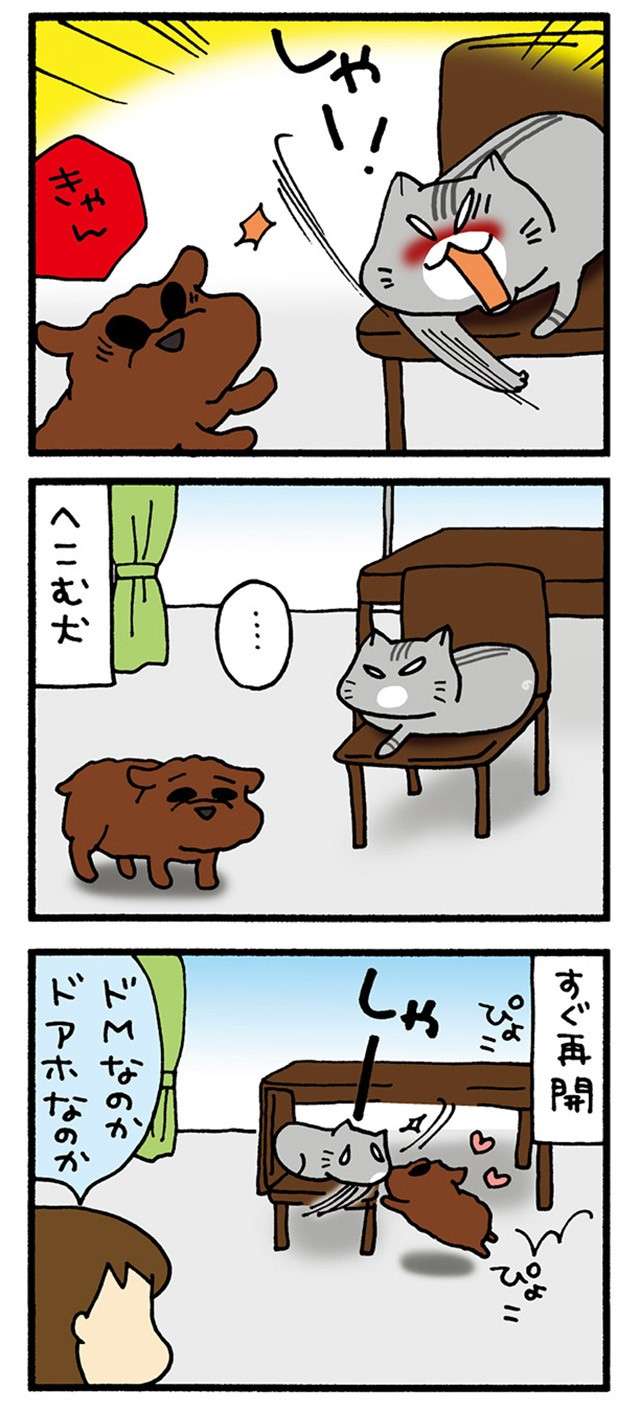 「ドMなのか？」猫と遊びたい犬。こんなに拒否されても...／うちの3ねこ uchinosanneko04_021_2.jpg