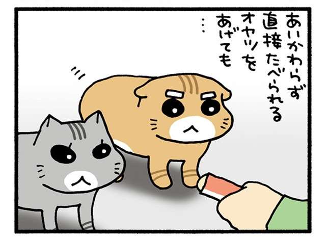 「そうなりますよね...」1匹だけおやつを食べられない猫。飼い主が二刀流であげてみたら ／うちの3ねこ 4 uchinosanneko04_031_1.jpg
