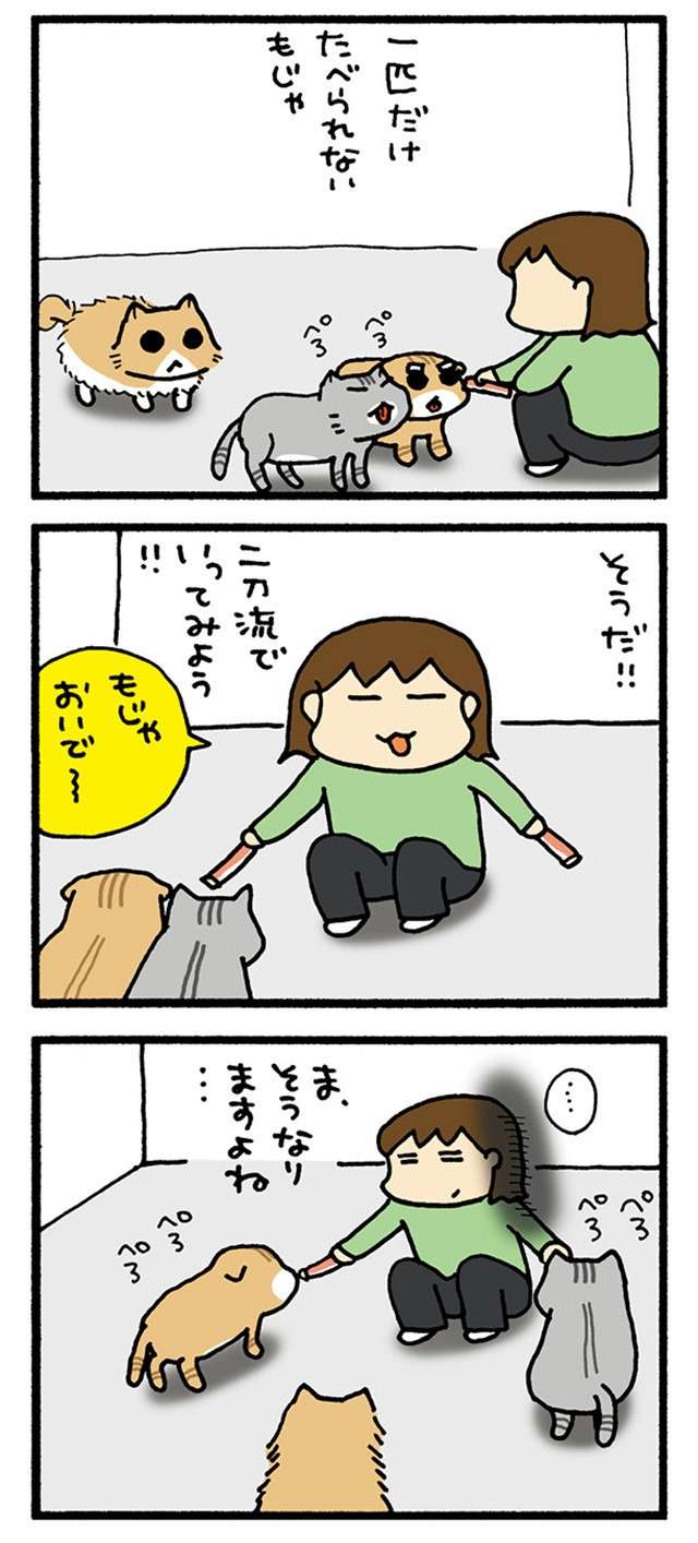 「かわええ...」猫飼いの小さな幸せ。猫のこれは確かに...たまらん！／うちの3ねこ uchinosanneko04_031_2.jpg