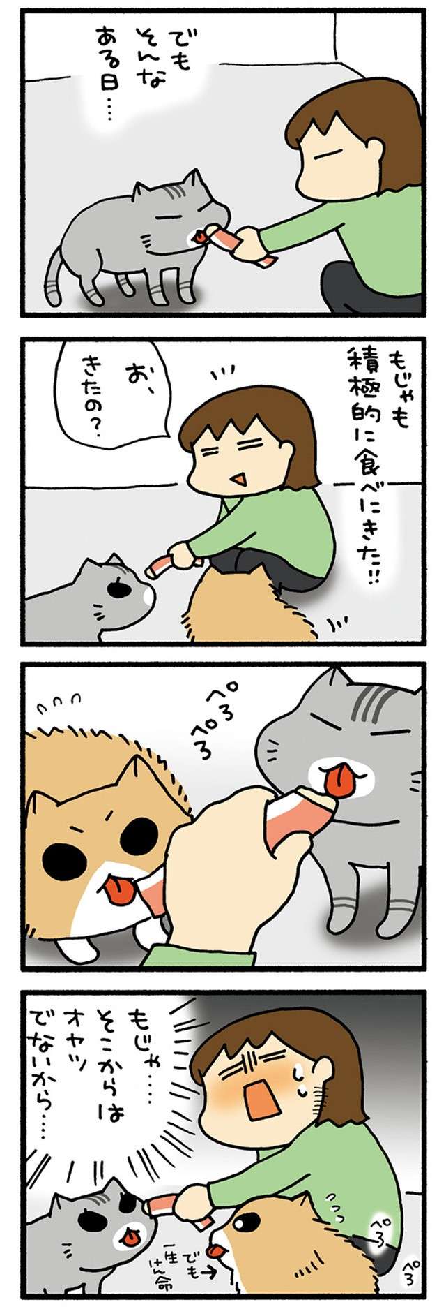 「かわええ...」猫飼いの小さな幸せ。猫のこれは確かに...たまらん！／うちの3ねこ uchinosanneko04_031_3.jpg