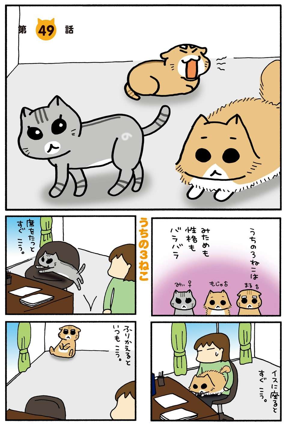 猫vs犬の戦争...！ カーテンの向こうに猫を発見した犬がちょっかいを出して／うちの3ねこ 3 uchinosanneko3_009.jpg