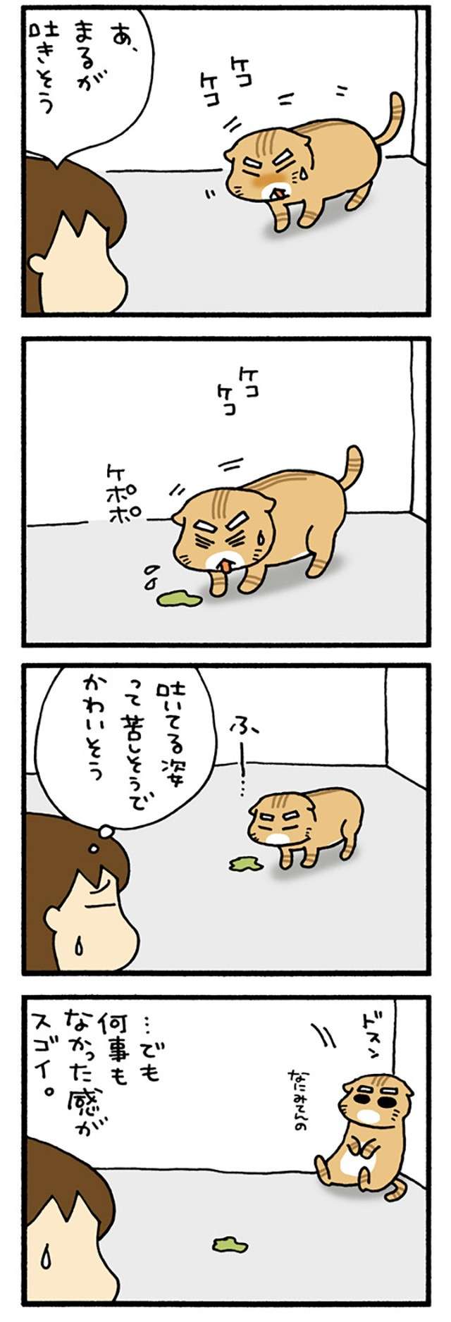 猫はけっこう「吐く」。苦しそうでかわいそうになるが...でも／うちの3ねこ uchinosanneko3_016_1.jpg