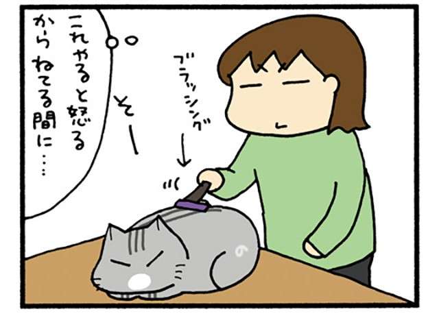 寝ている間にそっと...猫が嫌いなブラッシング開始！ 途中で起きたと思ったら...／うちの3ねこ 3 uchinosanneko3_017_1.jpg