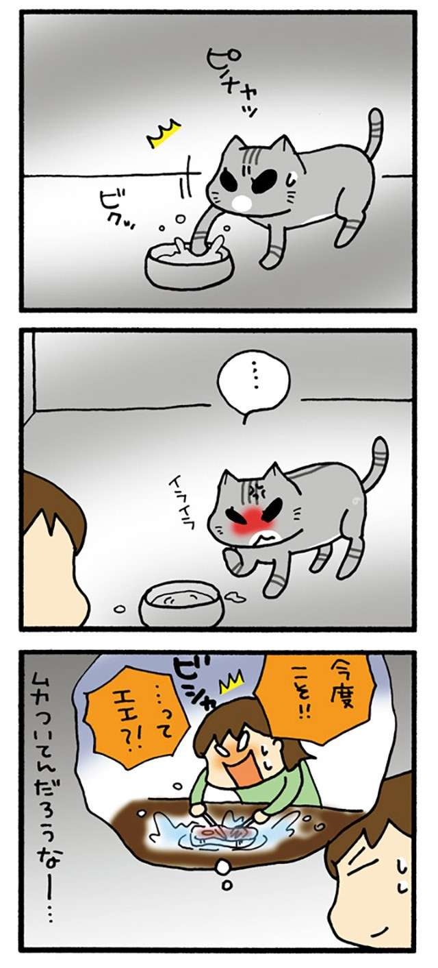 猫の学習能力。この遊びをしかけると毎回、新鮮なリアクションが...／うちの3ねこ uchinosanneko3_021_2.jpg