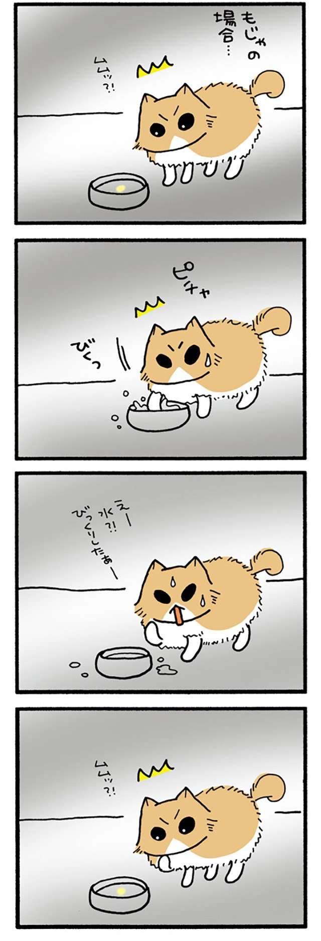 猫の学習能力。この遊びをしかけると毎回、新鮮なリアクションが...／うちの3ねこ uchinosanneko3_022_1.jpg