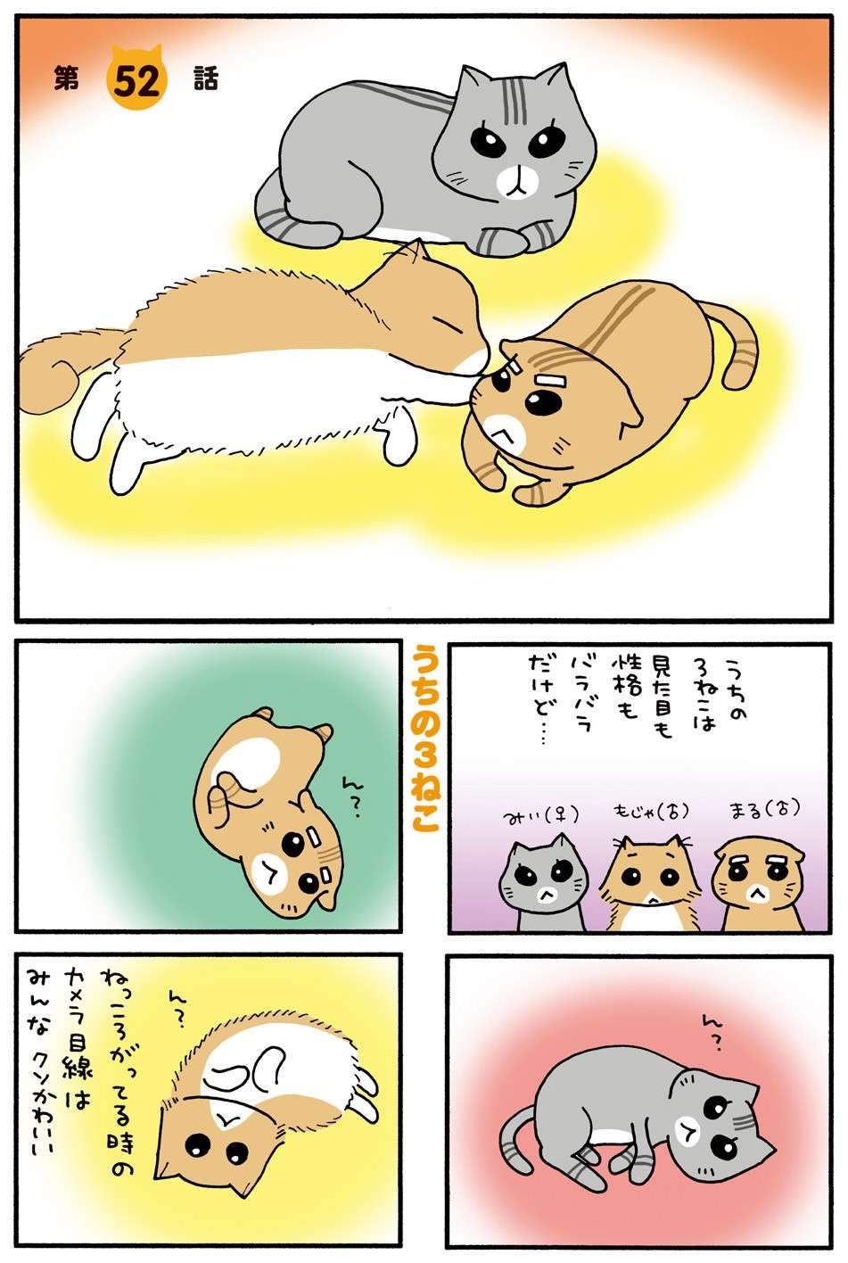 猫を夢中にさせる「例のおやつ」。一番警戒心の強い猫は...！／うちの3ねこ uchinosanneko3_025.jpg
