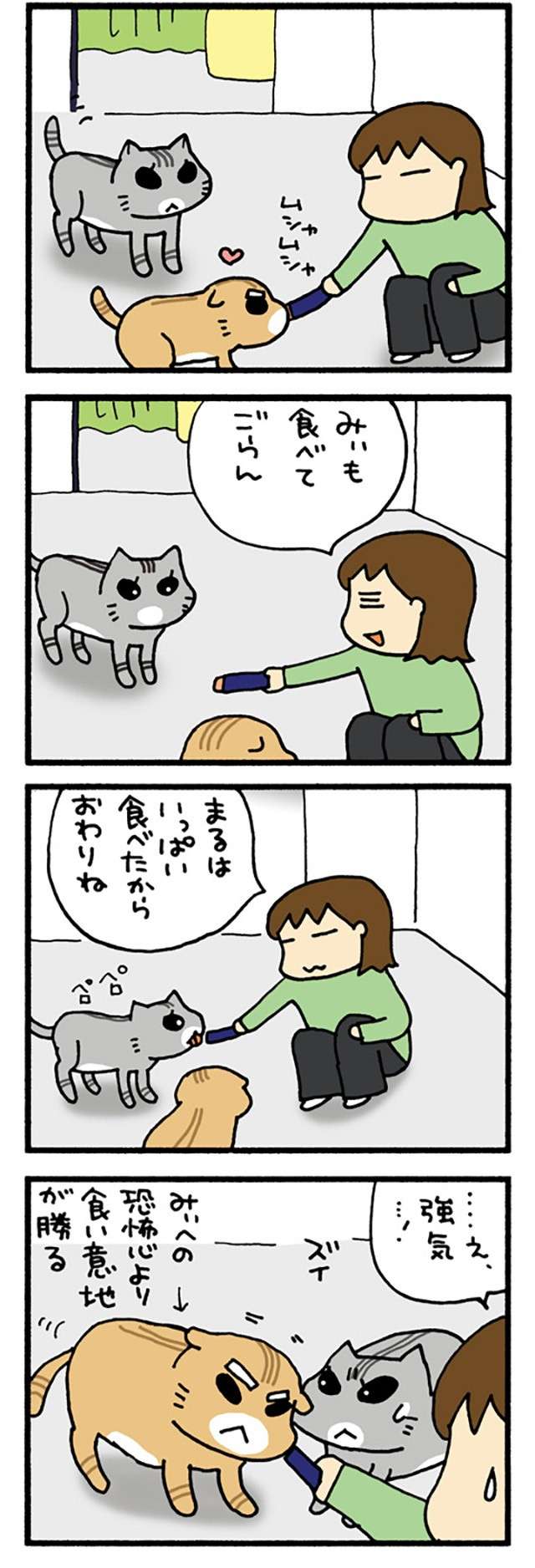 猫を夢中にさせる「例のおやつ」。一番警戒心の強い猫は...！／うちの3ねこ uchinosanneko3_026_2.jpg